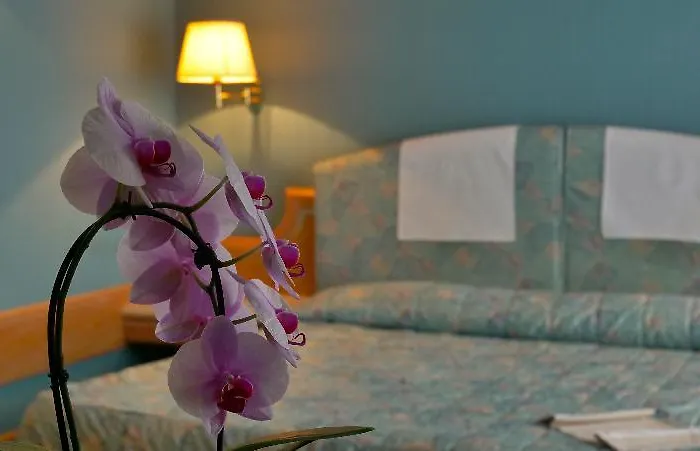 501 维博瓦伦蒂亚